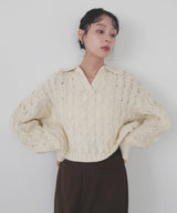【11月中旬予約商品】ケーブルクロップドポロニット