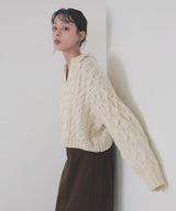 【11月中旬予約商品】ケーブルクロップドポロニット