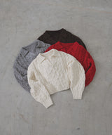 【11月中旬予約商品】ケーブルクロップドポロニット